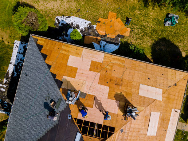 Best Storm Damage Roof Repair  in Spring City, UT
